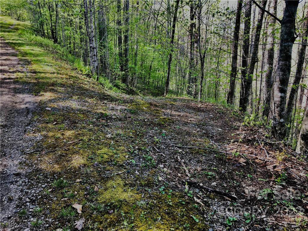 99 Fern Hill Drive - Photo 2