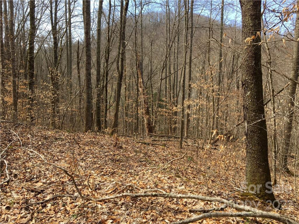 57 Fern Hill Drive - Photo 4