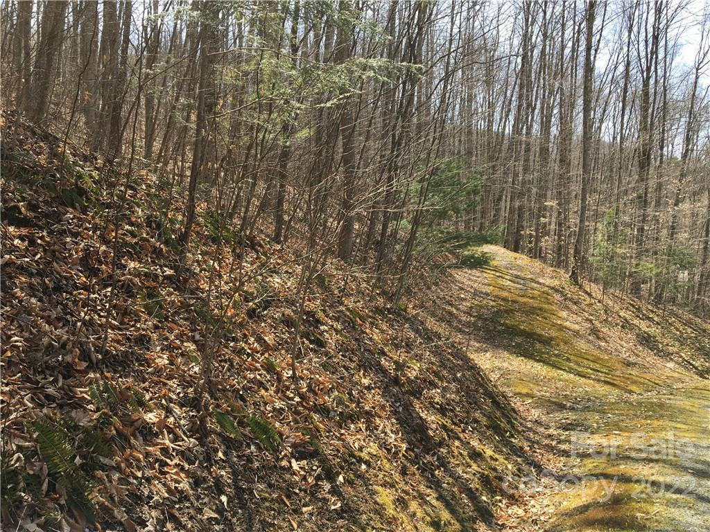 57 Fern Hill Drive - Photo 7