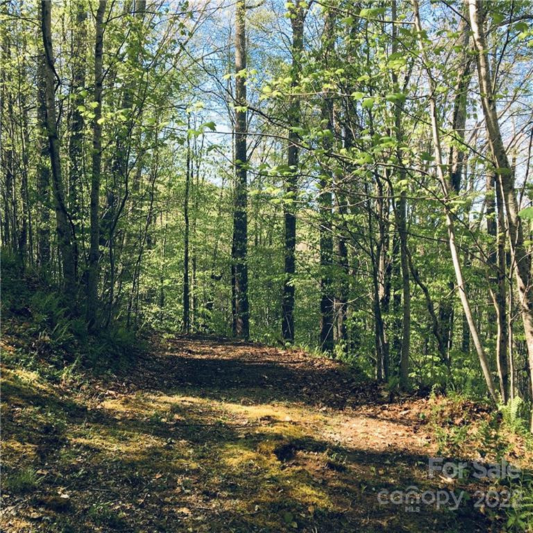 99 &57 Fern Hill Drive - Photo 3