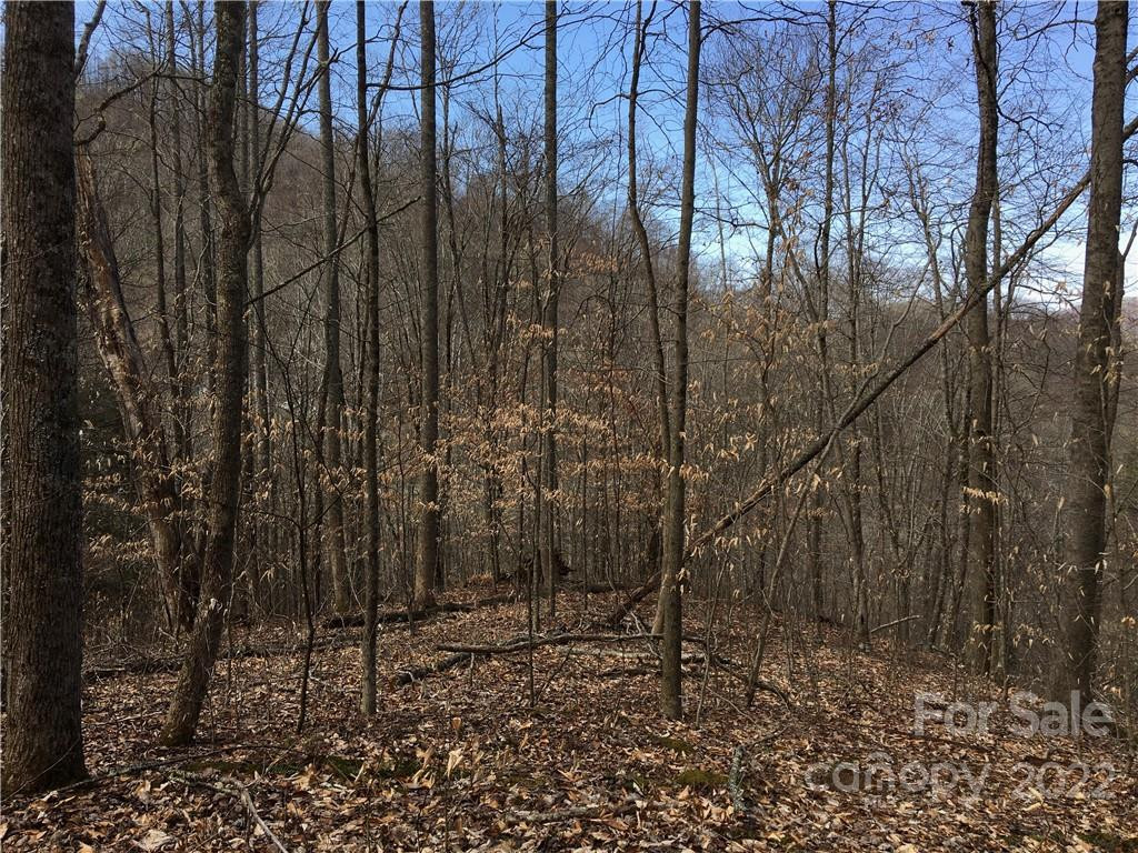 99 &57 Fern Hill Drive - Photo 6