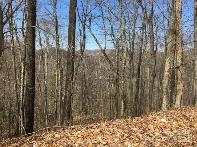 TBD Fern Hill Drive