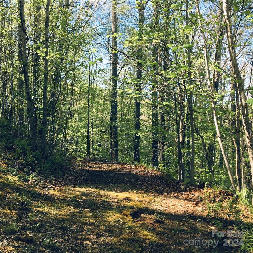 TBD Fern Hill Drive #28-29 - Photo 2