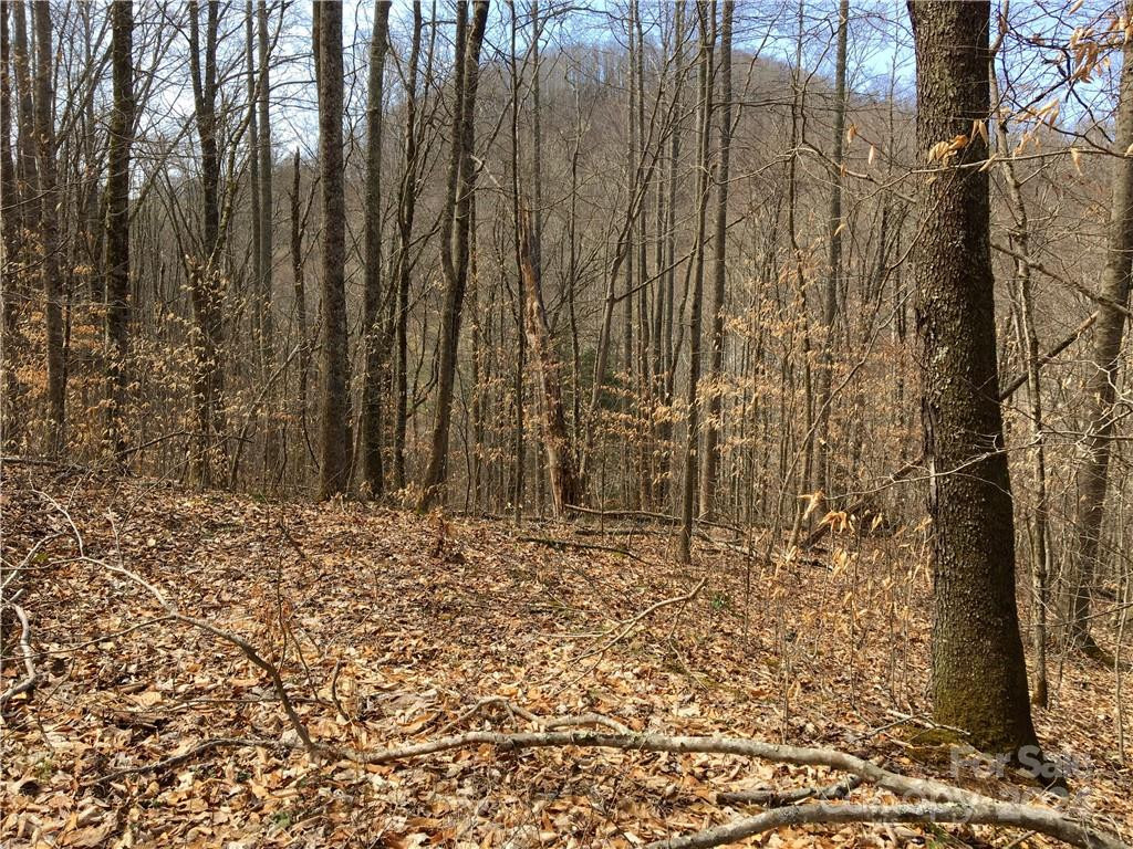 TBD Fern Hill Drive #28-29 - Photo 3