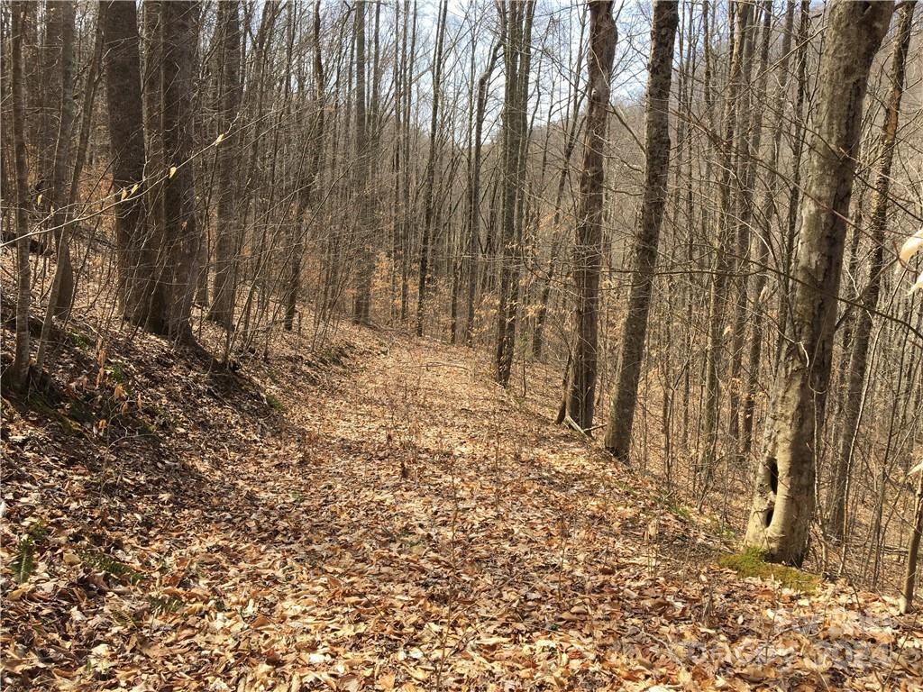 TBD Fern Hill Drive #28-29 - Photo 4