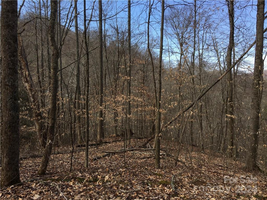 TBD Fern Hill Drive #28-29 - Photo 5