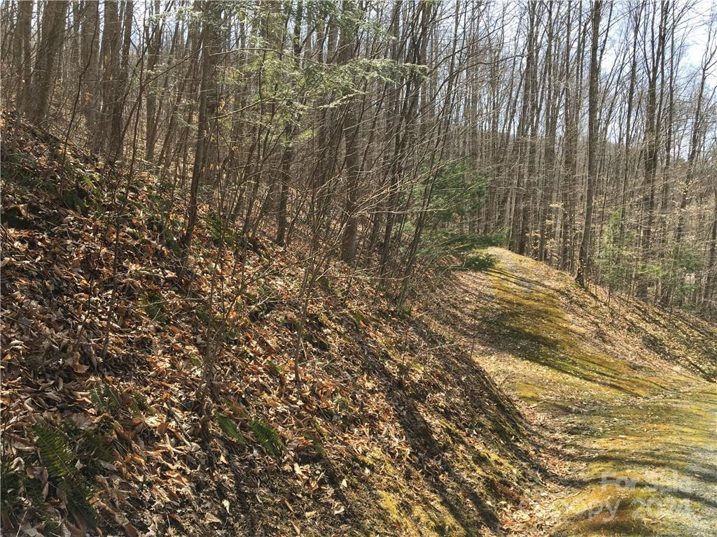 TBD Fern Hill Drive #28-29 - Photo 6