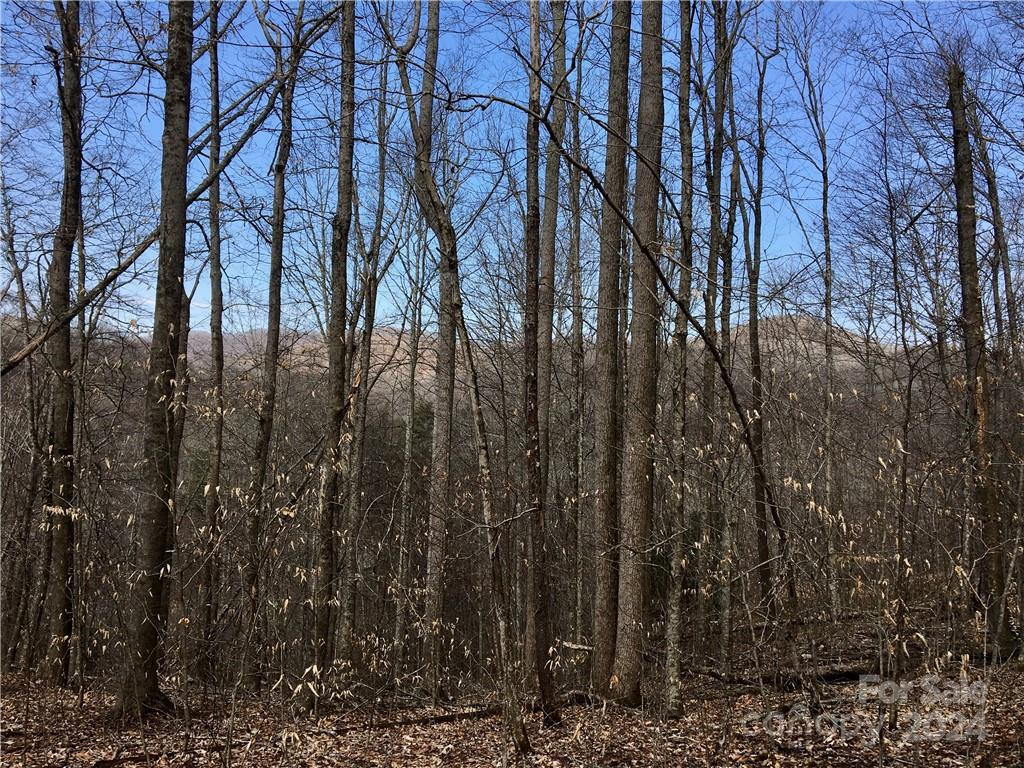 TBD Fern Hill Drive #28-29 - Photo 7