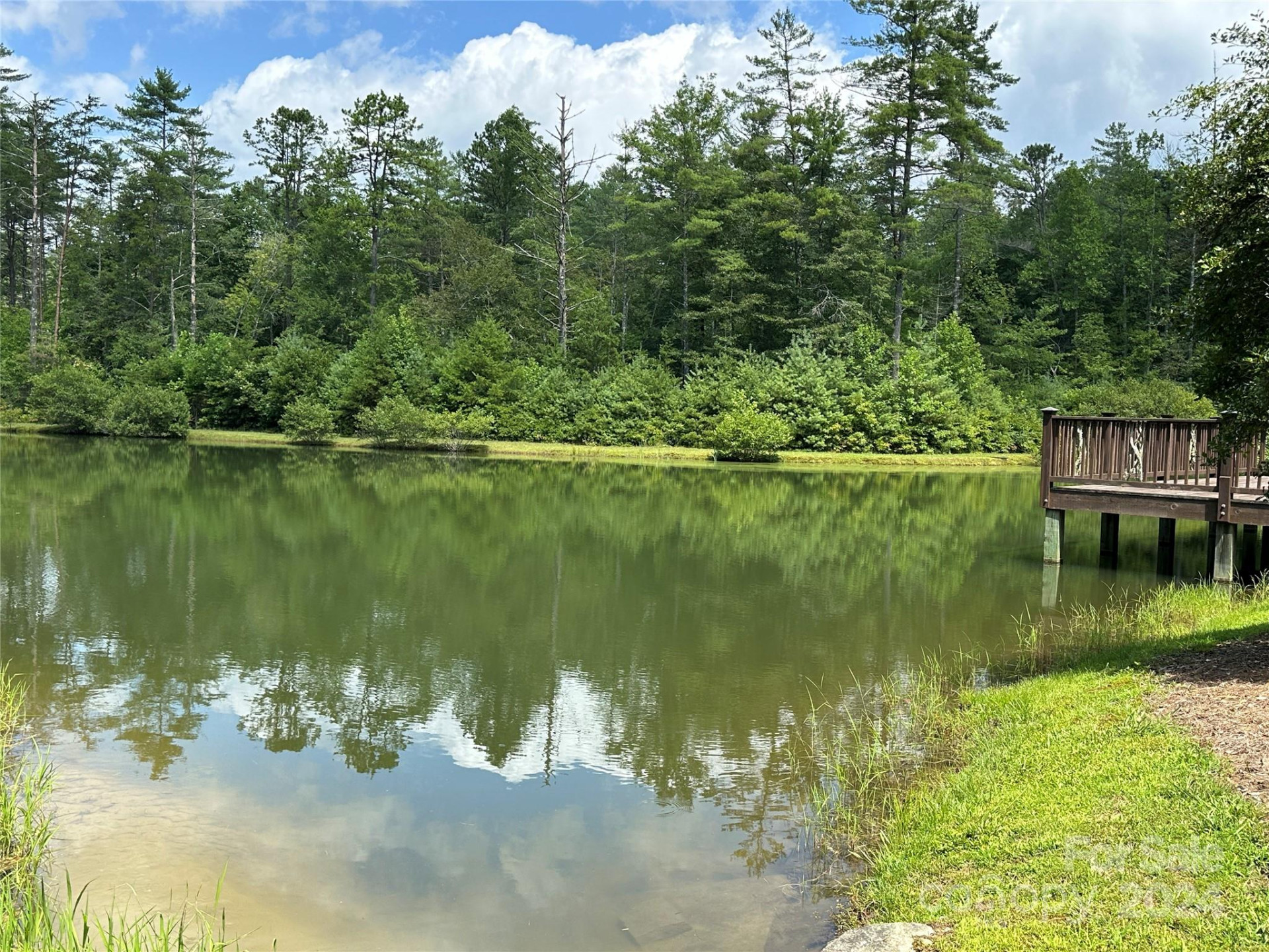 79 Peppervine Circle #L79 - Photo 13