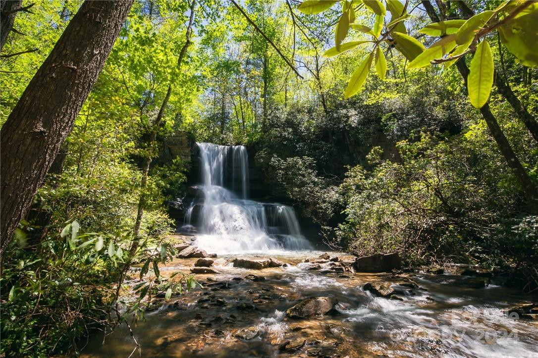 79 Peppervine Circle #L79 - Photo 15