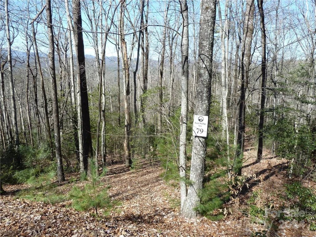 79 Peppervine Circle #L79 - Photo 3