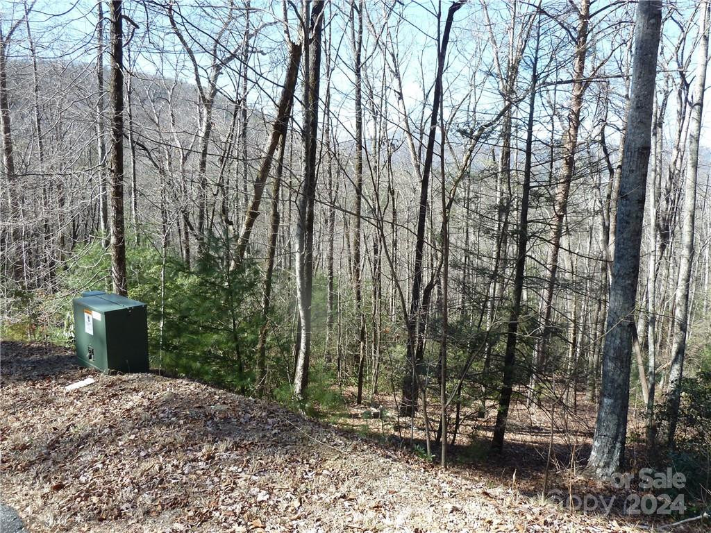 79 Peppervine Circle #L79 - Photo 26