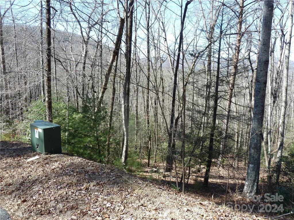 79 Peppervine Circle #L79 - Photo 26