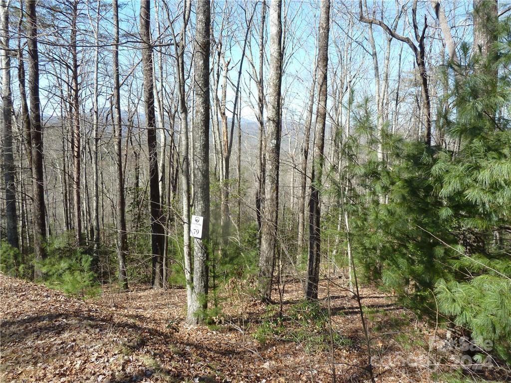 79 Peppervine Circle #L79 - Photo 27