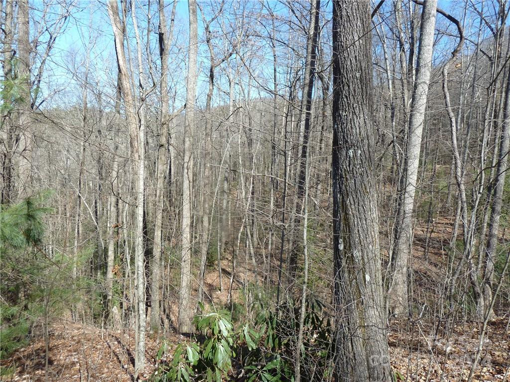 79 Peppervine Circle #L79 - Photo 28