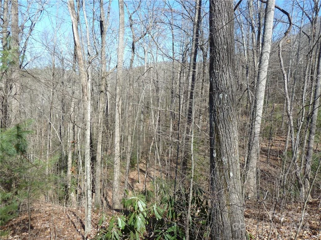 79 Peppervine Circle #L79 - Photo 28