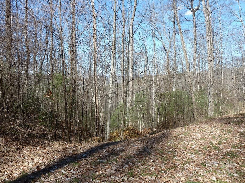 79 Peppervine Circle #L79 - Photo 29