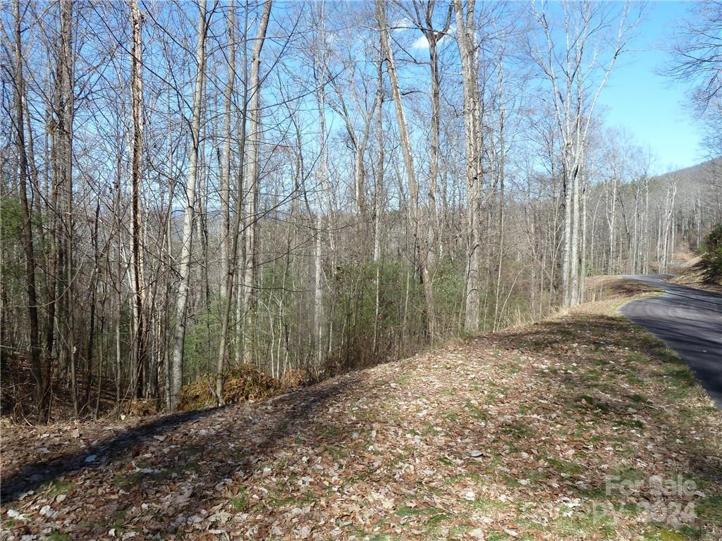 79 Peppervine Circle #L79 - Photo 30