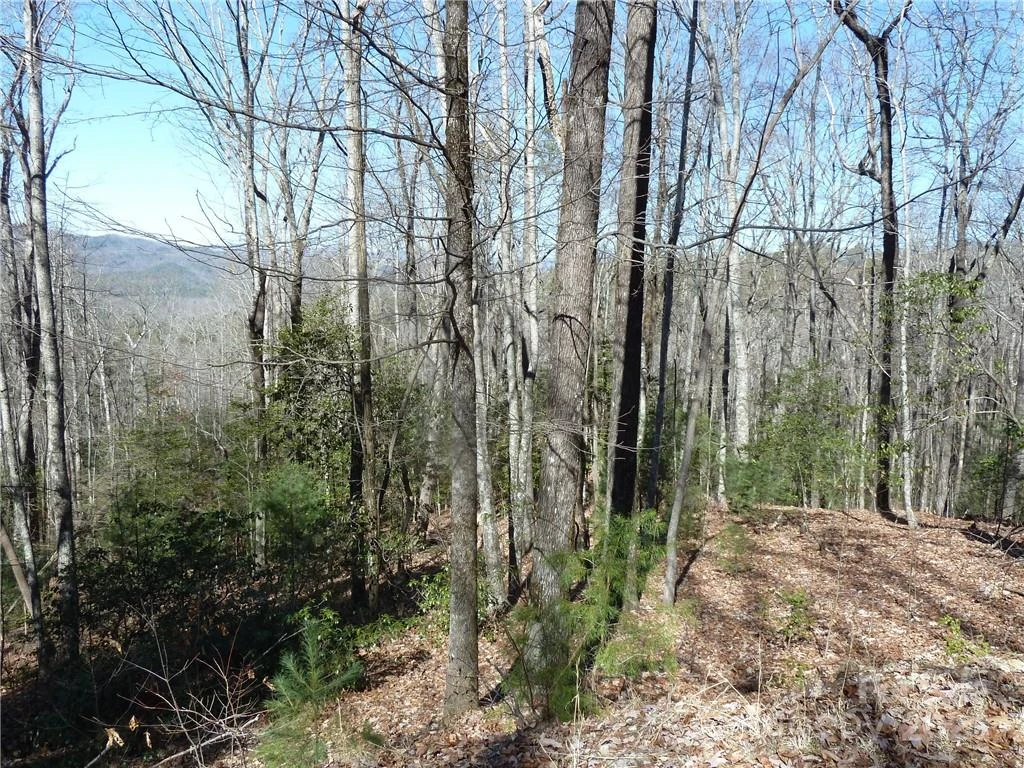 79 Peppervine Circle #L79 - Photo 4