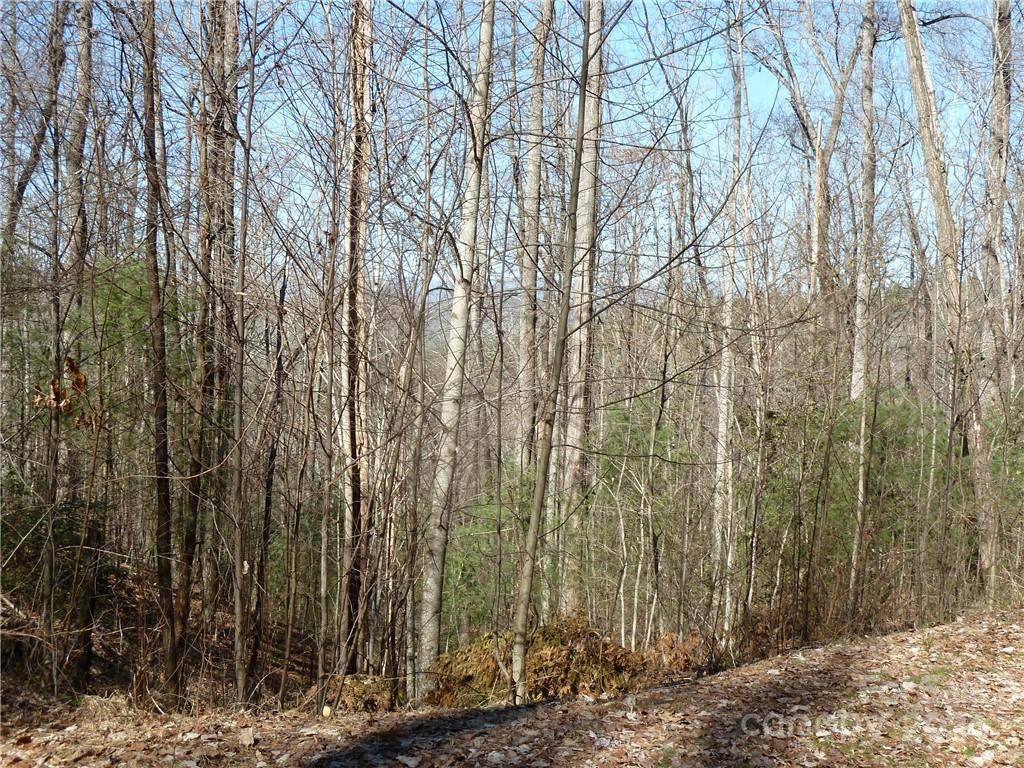 79 Peppervine Circle #L79 - Photo 31