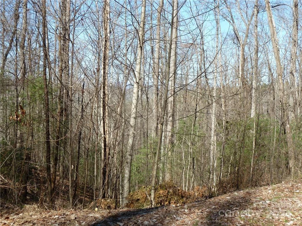 79 Peppervine Circle #L79 - Photo 31