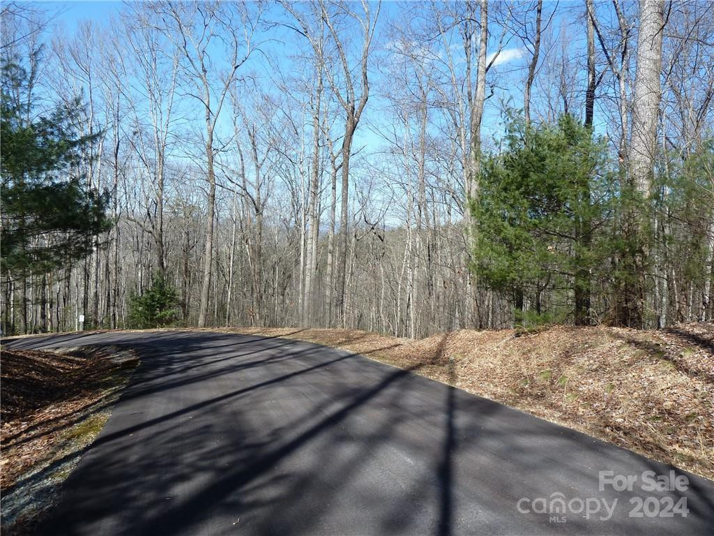 79 Peppervine Circle #L79 - Photo 32