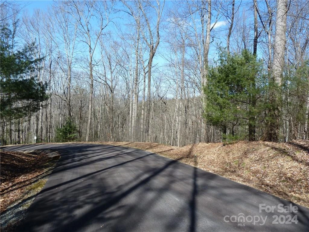 79 Peppervine Circle #L79 - Photo 32