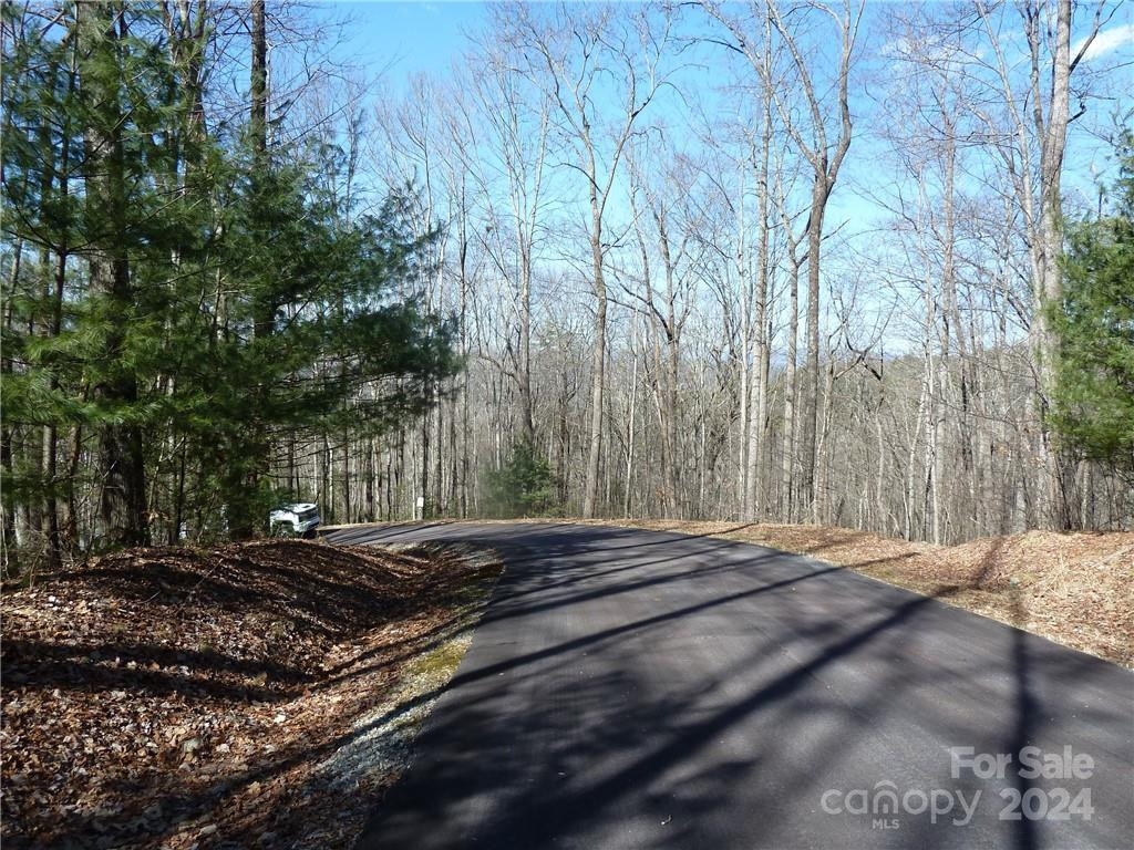 79 Peppervine Circle #L79 - Photo 33