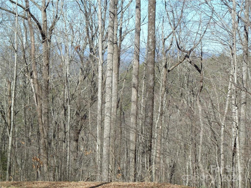 79 Peppervine Circle #L79 - Photo 34