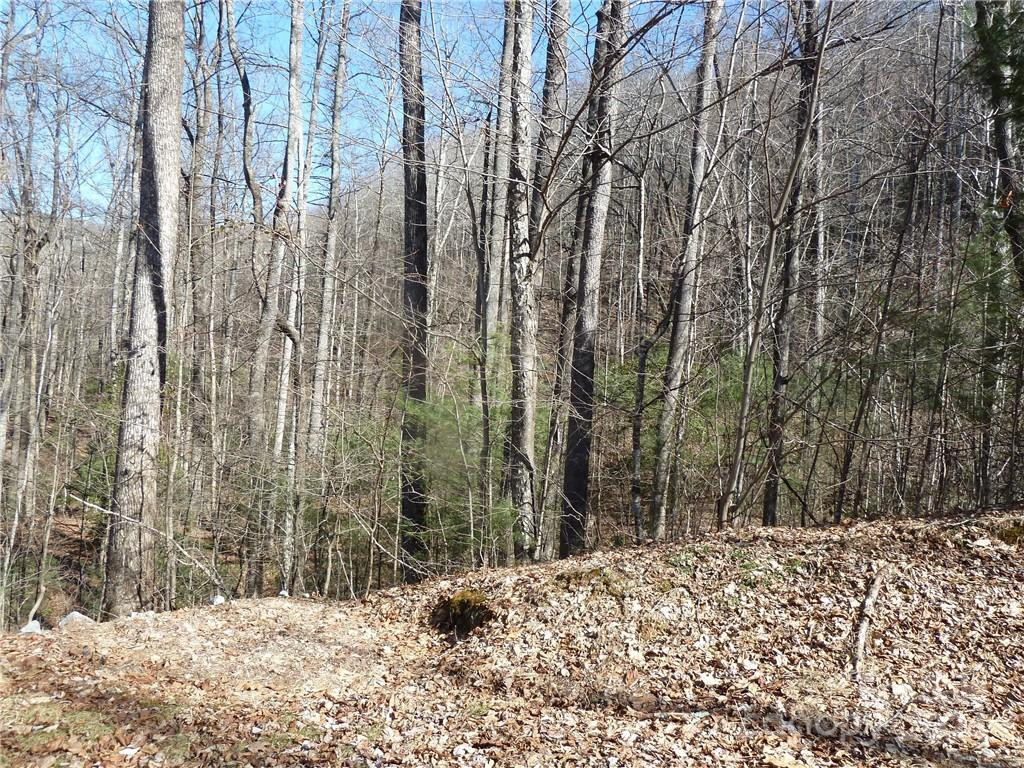 79 Peppervine Circle #L79 - Photo 35