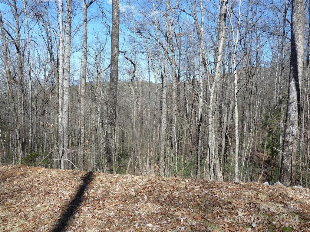 79 Peppervine Circle #L79 - Photo 36