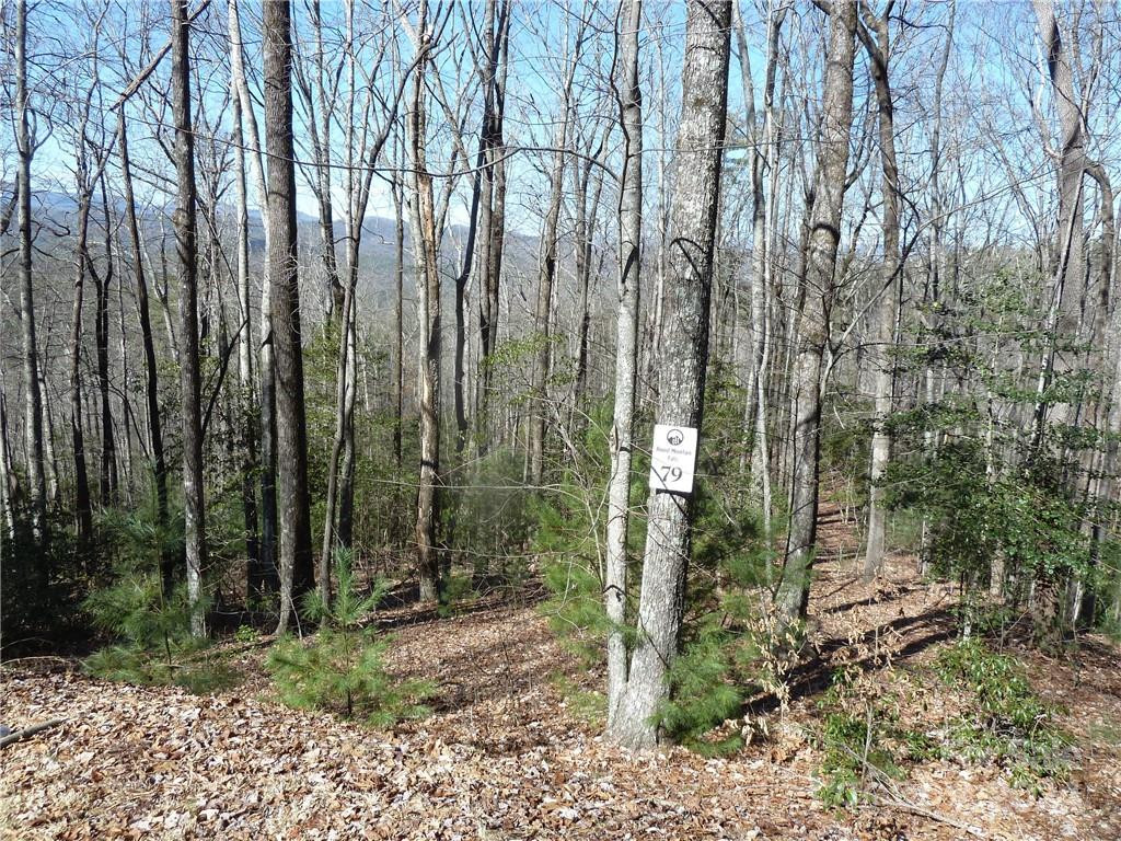 79 Peppervine Circle #L79 - Photo 37