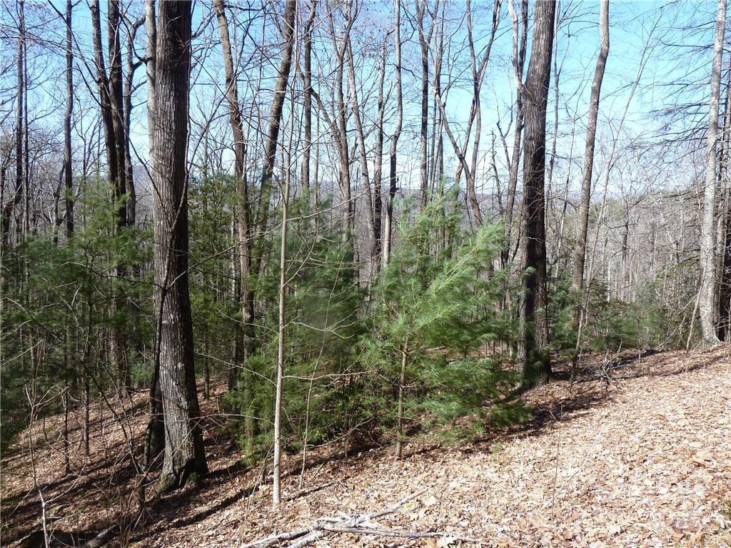 79 Peppervine Circle #L79 - Photo 38