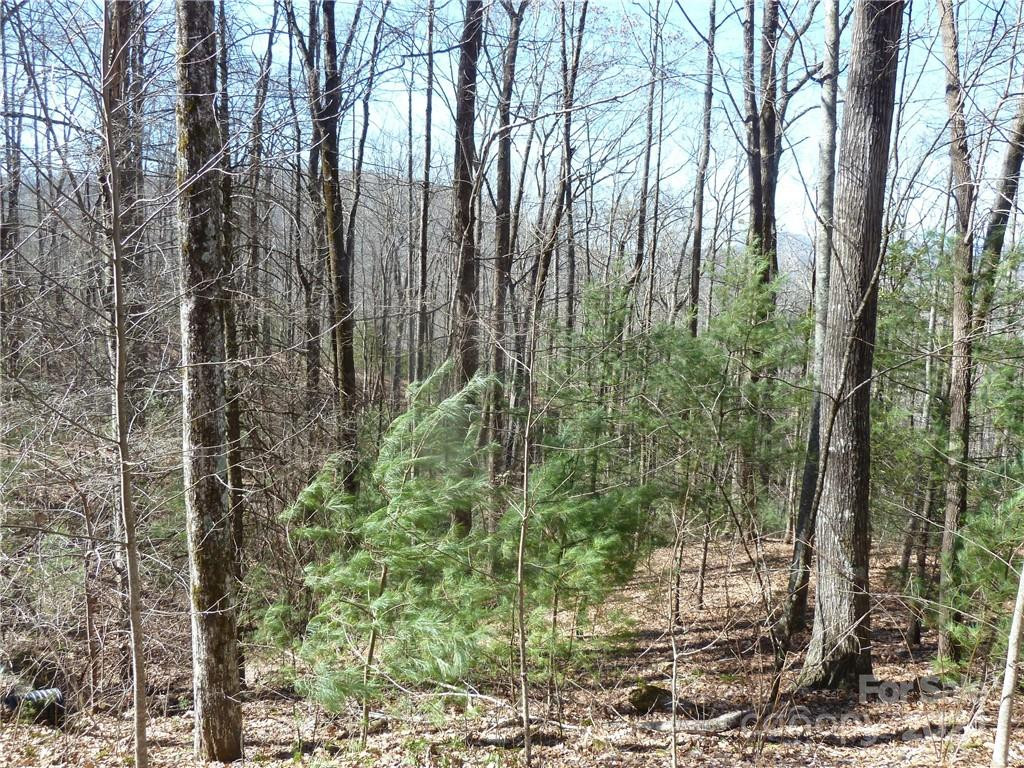 79 Peppervine Circle #L79 - Photo 39