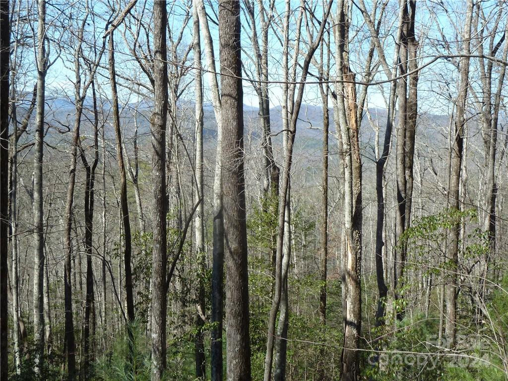 79 Peppervine Circle #L79 - Photo 40