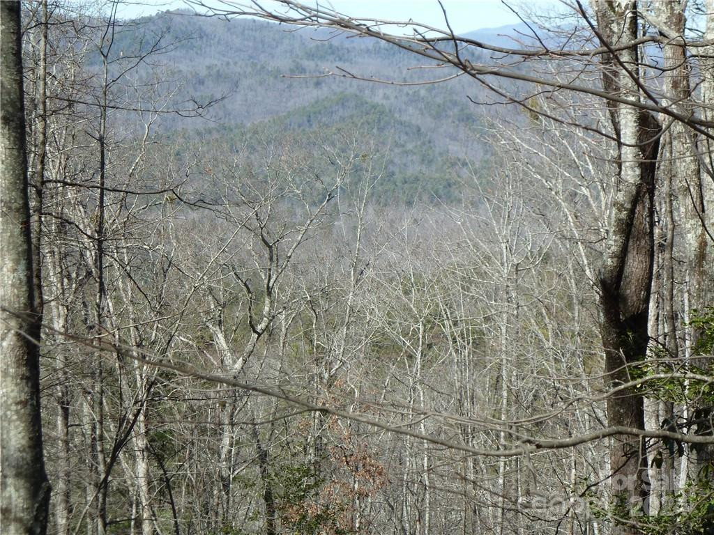 79 Peppervine Circle #L79 - Photo 5