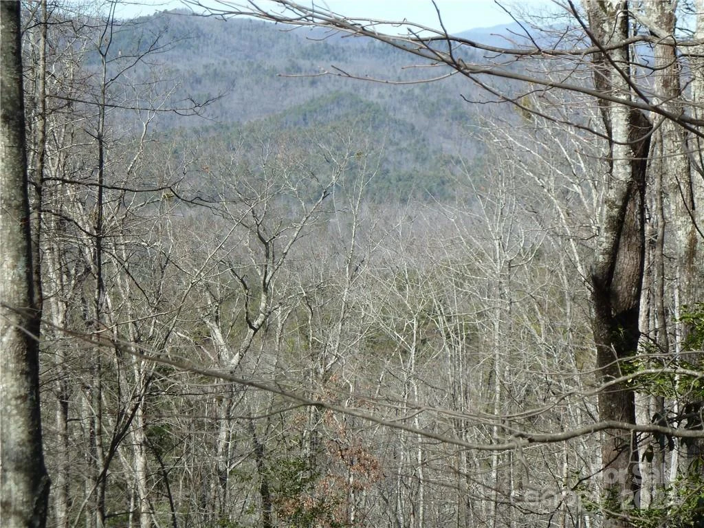 79 Peppervine Circle #L79 - Photo 5