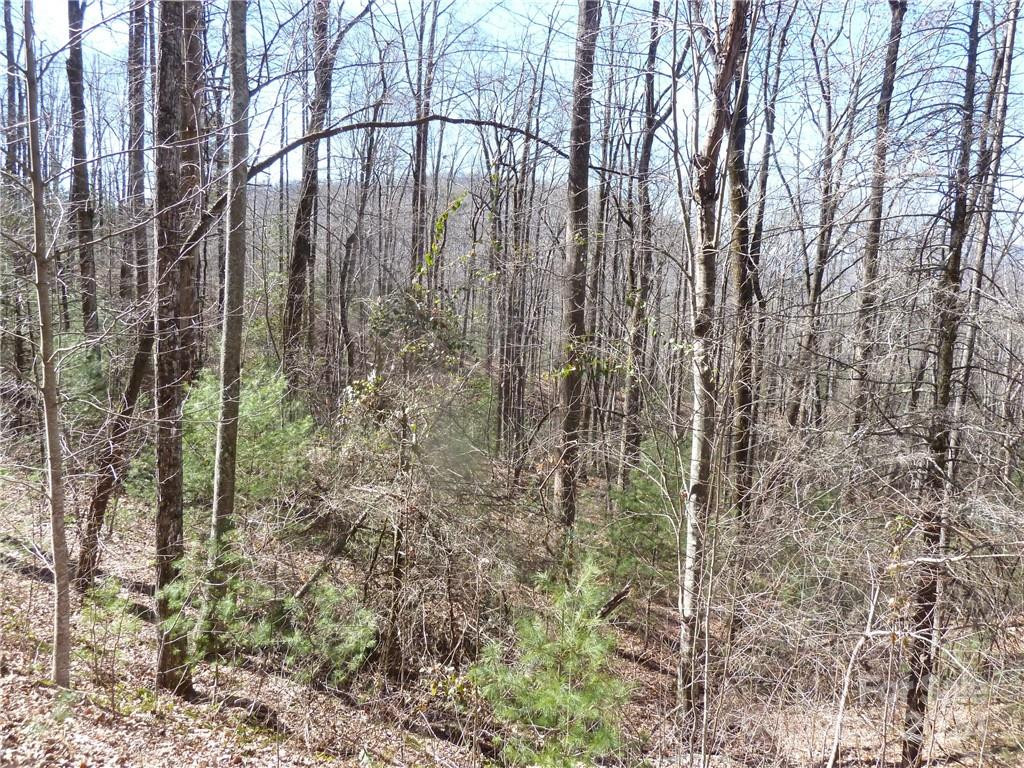 79 Peppervine Circle #L79 - Photo 41