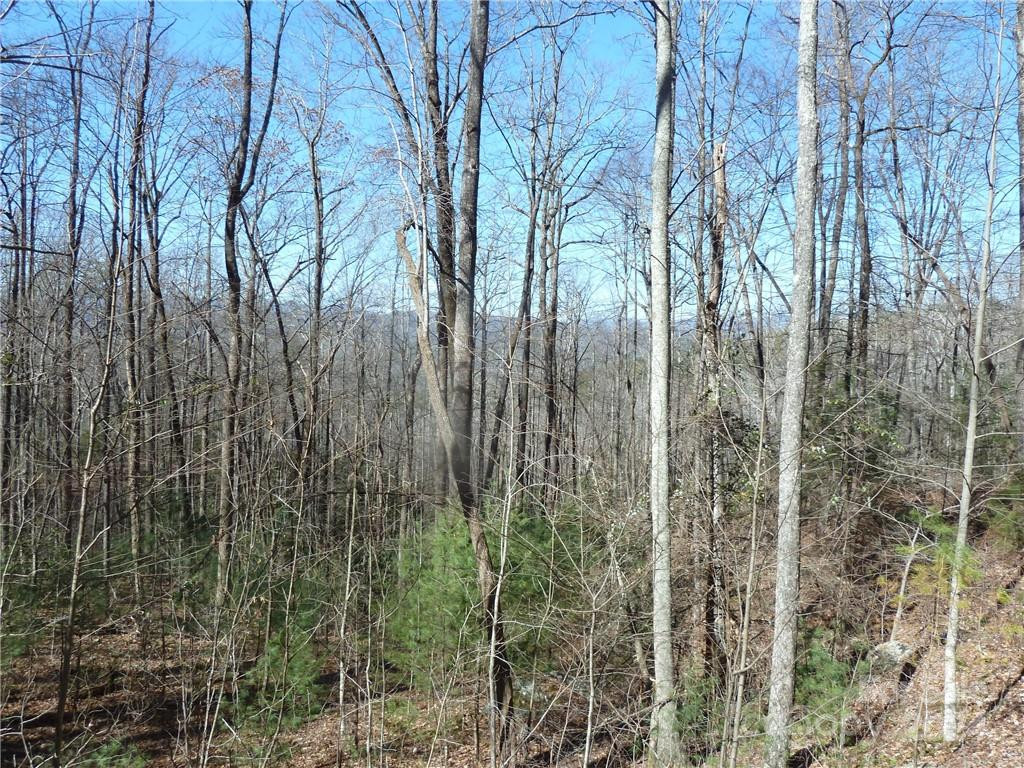 79 Peppervine Circle #L79 - Photo 42