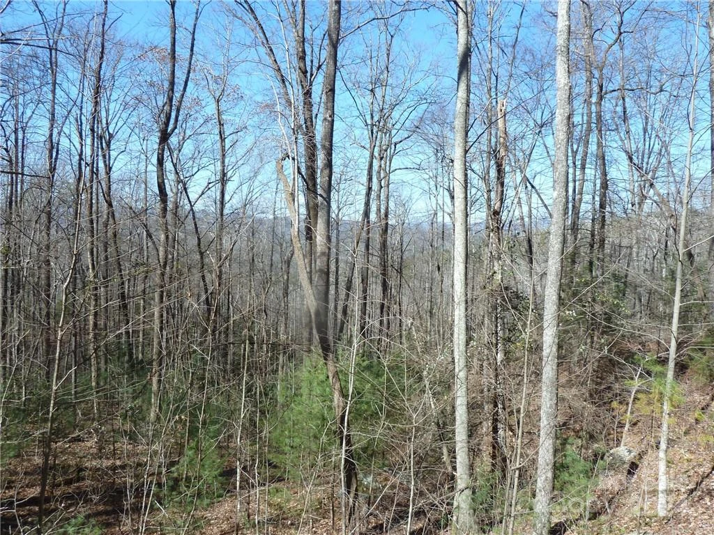 79 Peppervine Circle #L79 - Photo 42