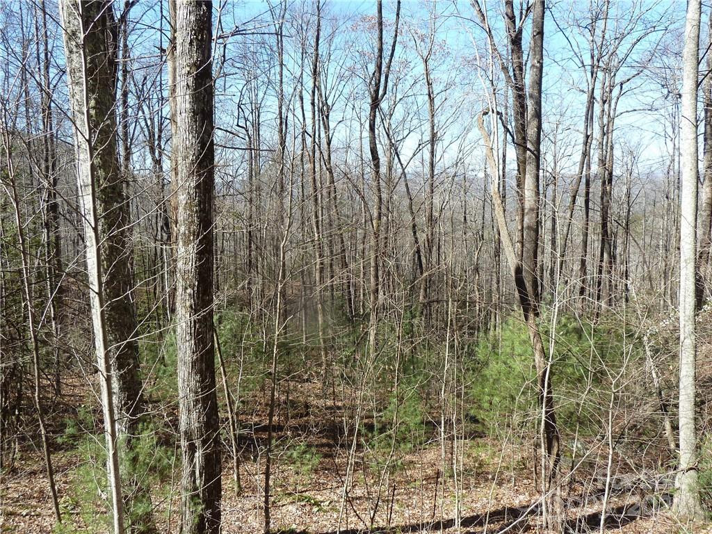 79 Peppervine Circle #L79 - Photo 43