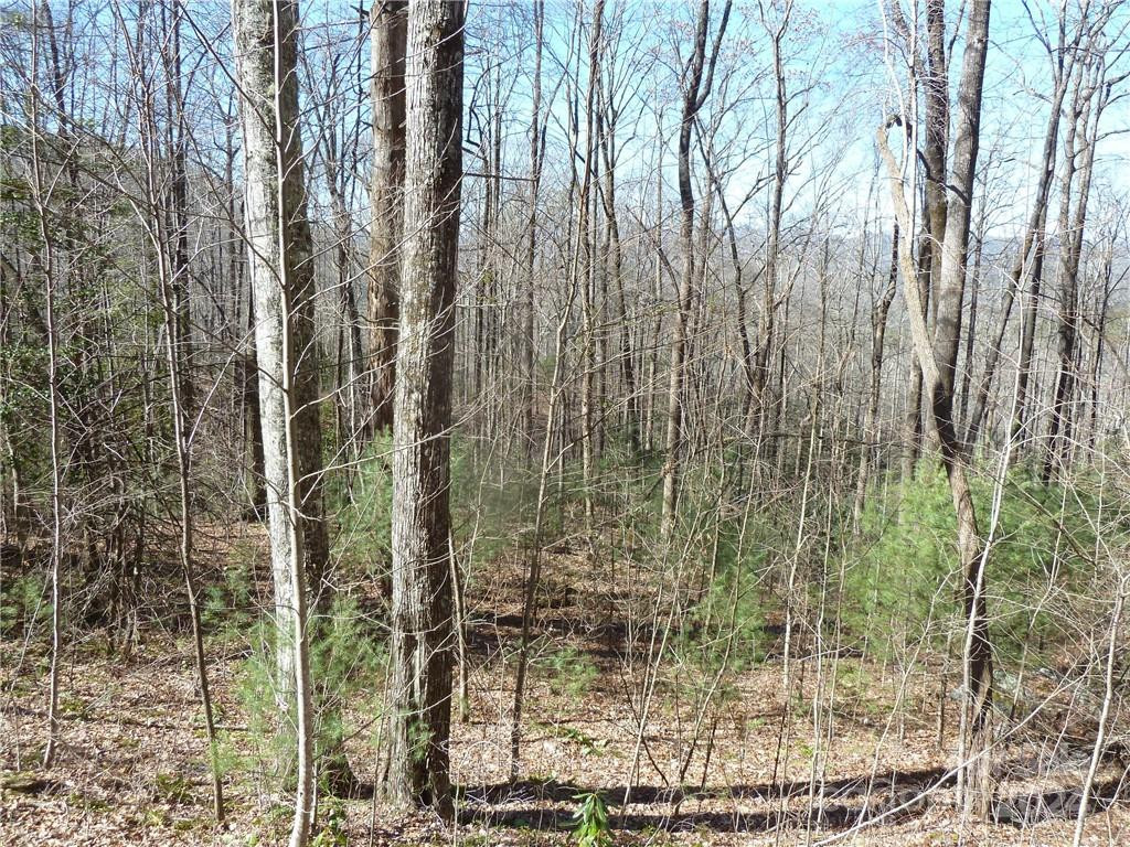 79 Peppervine Circle #L79 - Photo 44