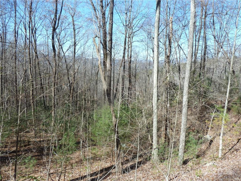 79 Peppervine Circle #L79 - Photo 45