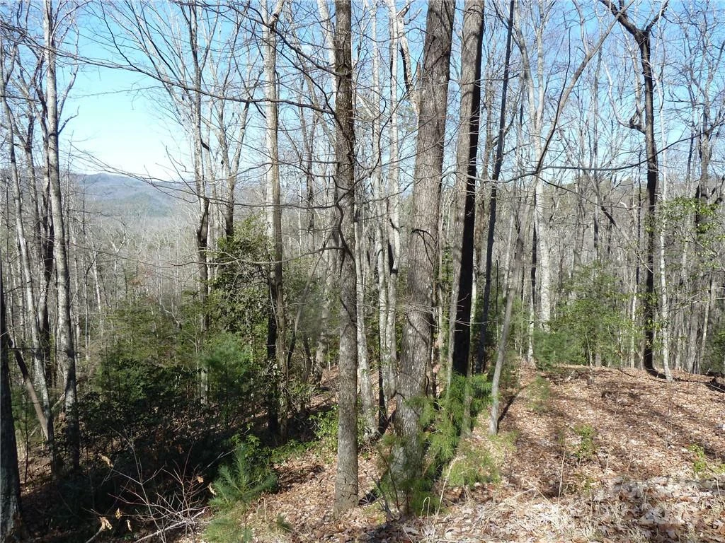 79 Peppervine Circle #L79 - Photo 46