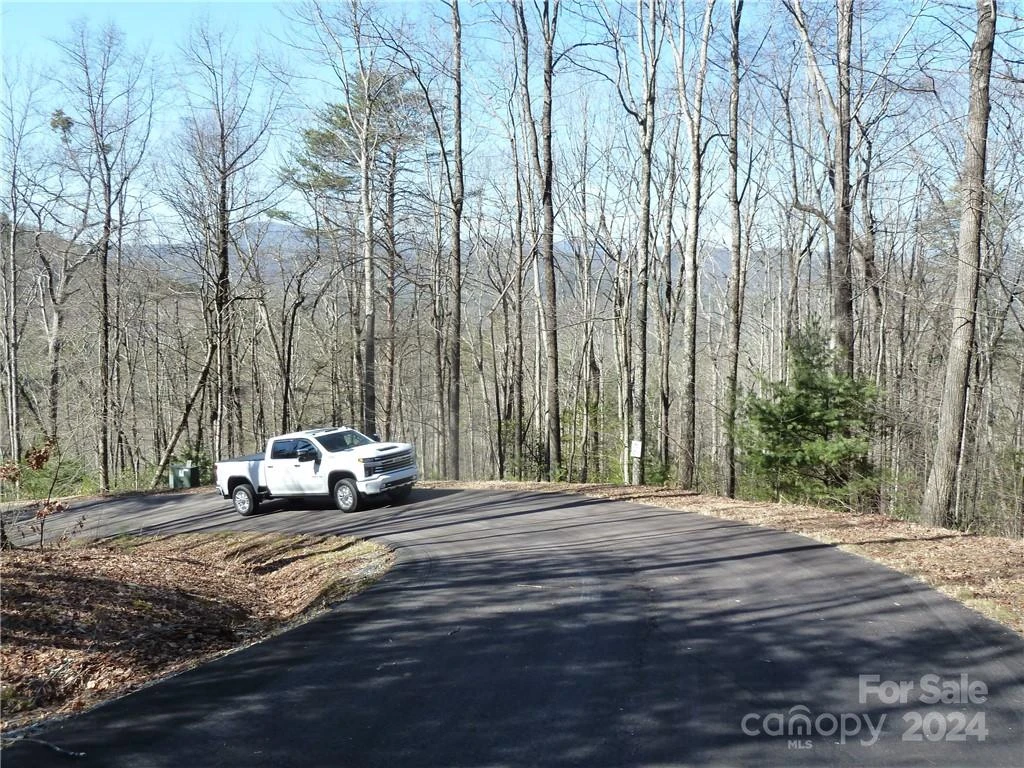 79 Peppervine Circle #L79 - Photo 47