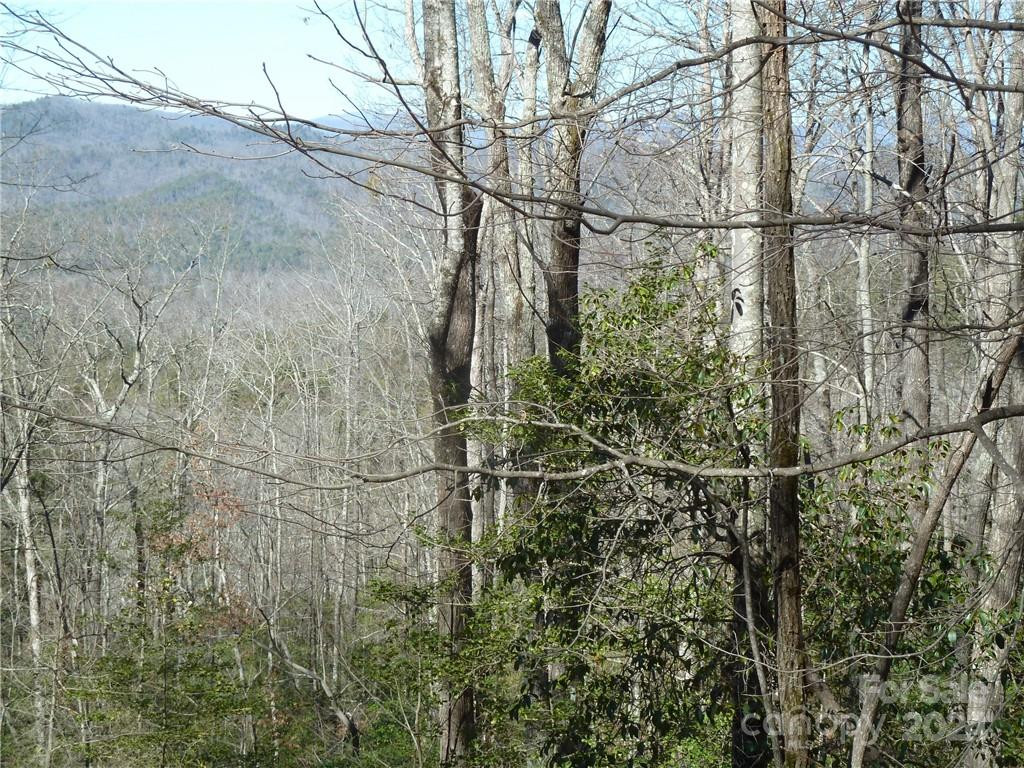 79 Peppervine Circle #L79 - Photo 6