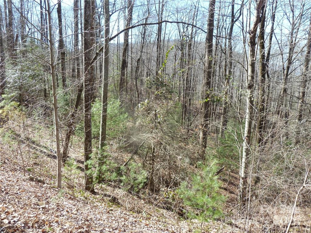 79 Peppervine Circle #L79 - Photo 7