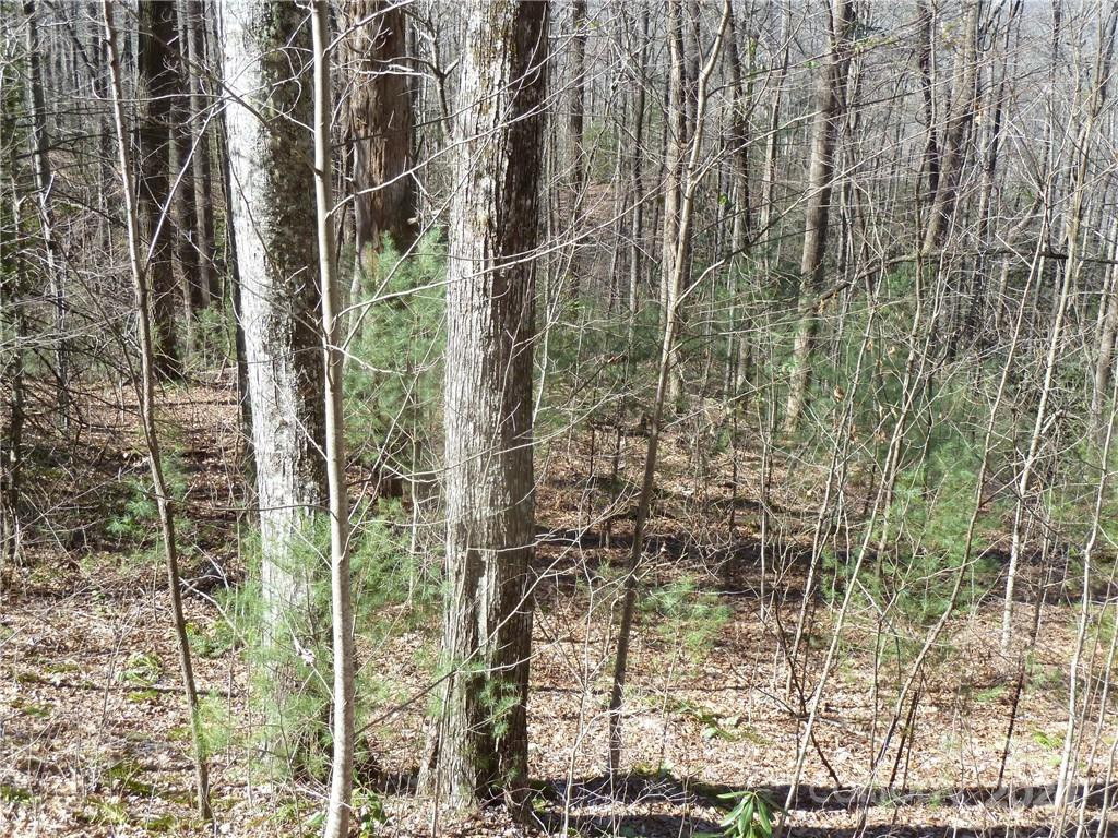 79 Peppervine Circle #L79 - Photo 8