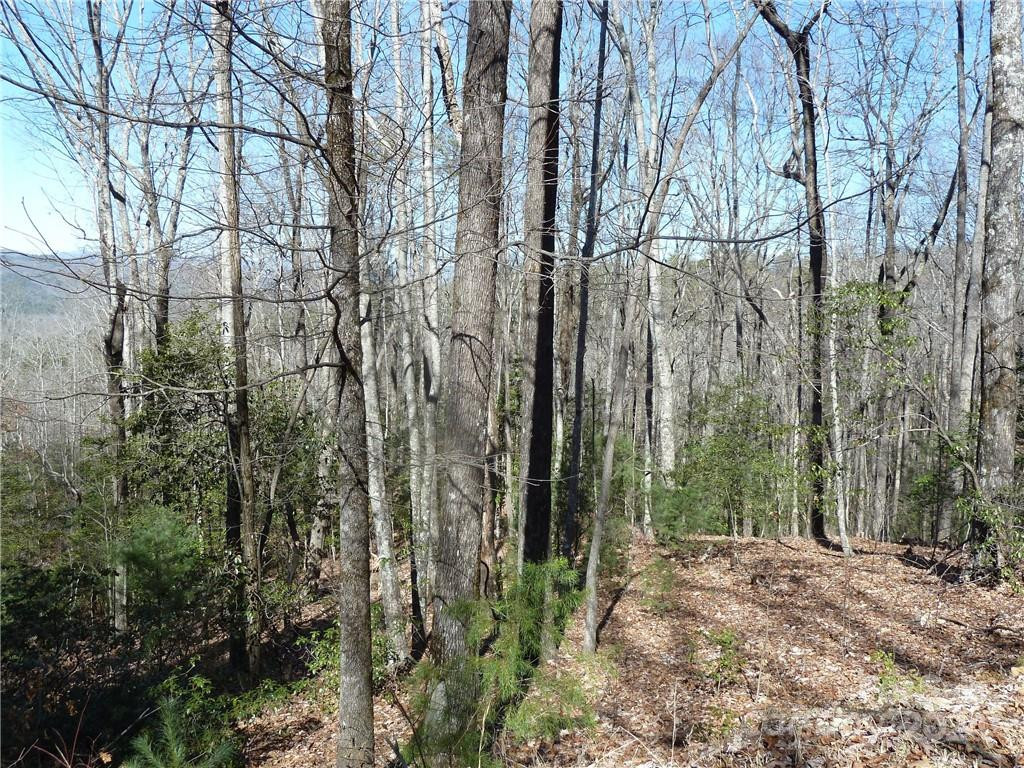 79 Peppervine Circle #L79 - Photo 9