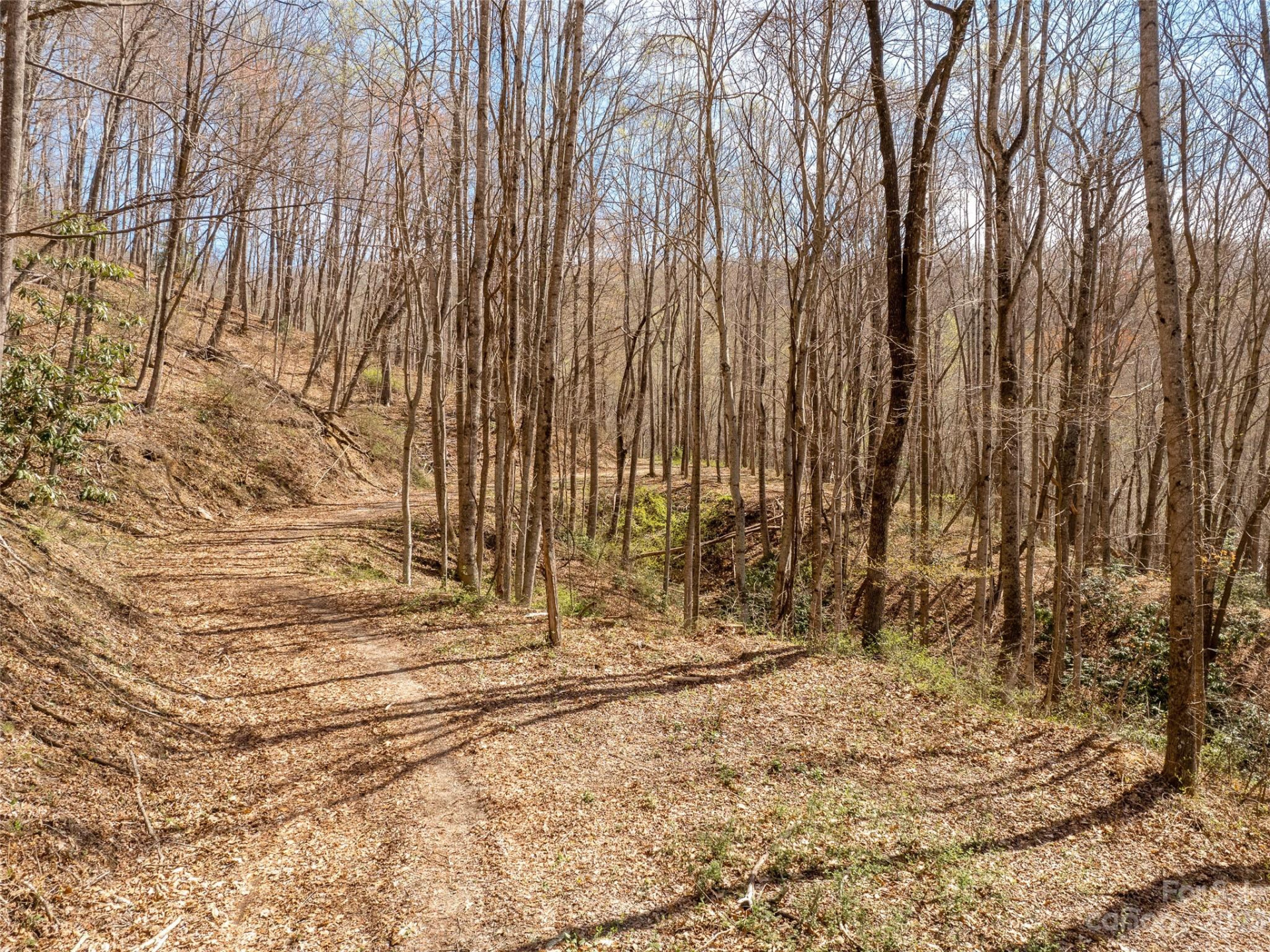 9999-6 Merrills Ridge Road #6 - Photo 5
